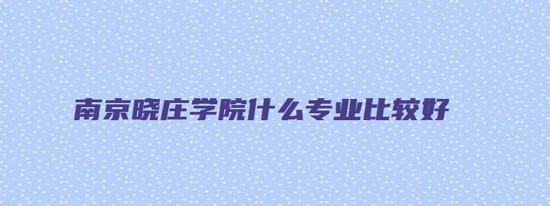 南京晓庄学院什么专业比较好