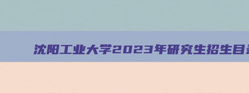 沈阳工业大学2023年研究生招生目录