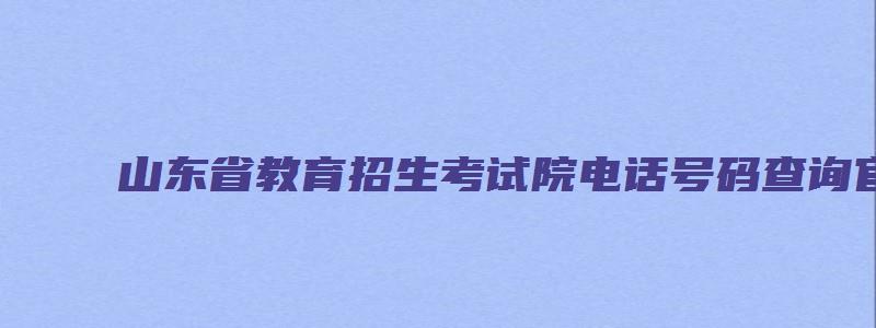 山东省教育招生考试院电话号码查询官网